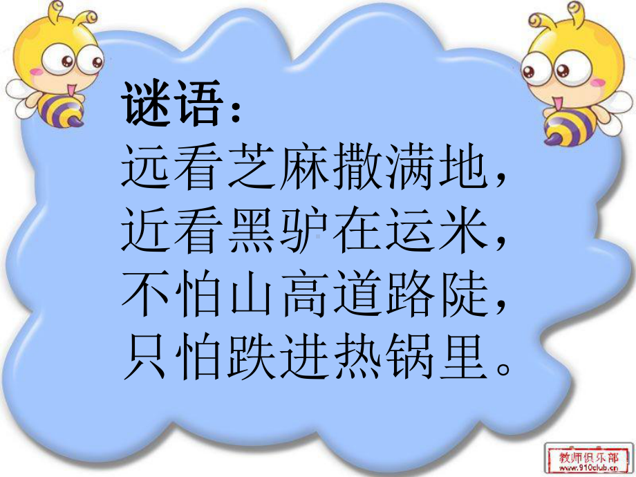 《蚂蚁》课件.ppt_第2页