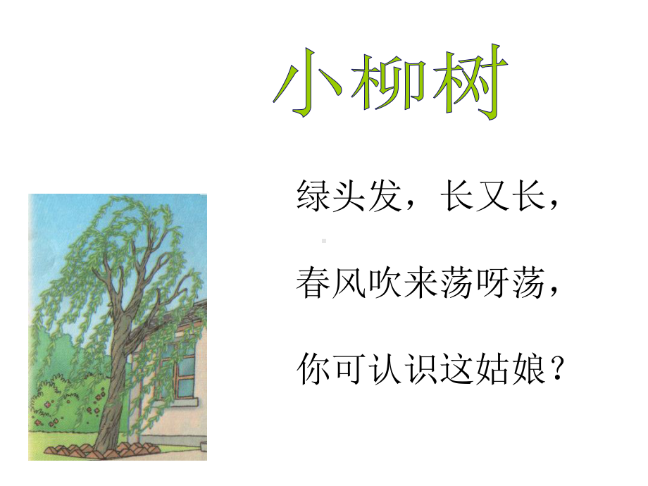 15小柳树和小枣树.ppt_第3页