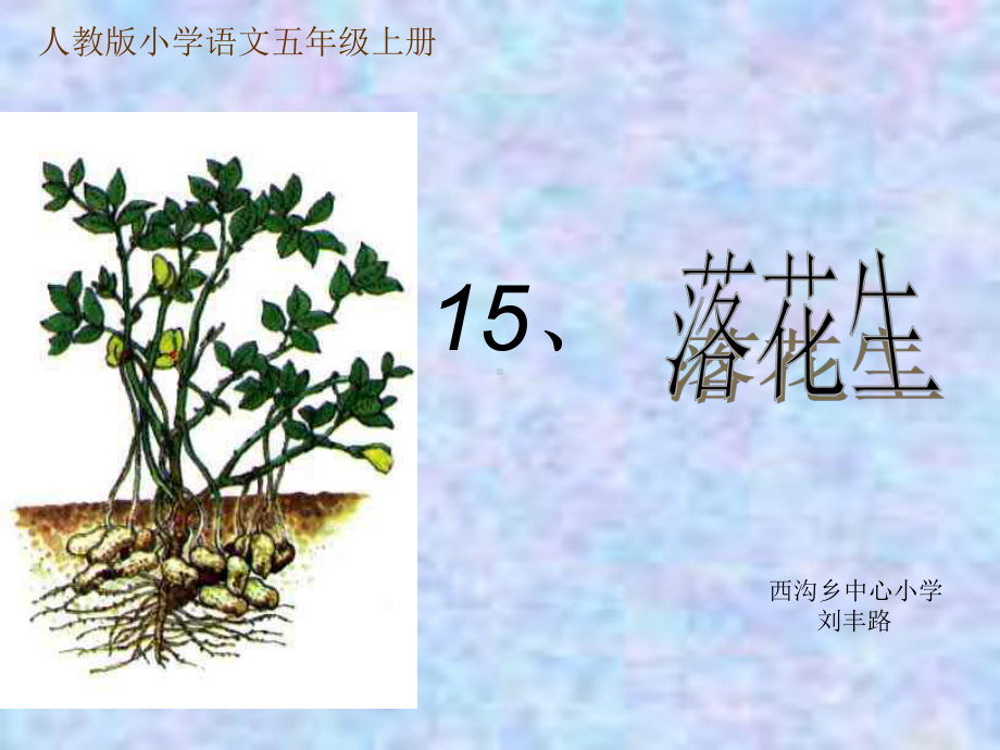 说课稿落花生姚妍.ppt_第1页