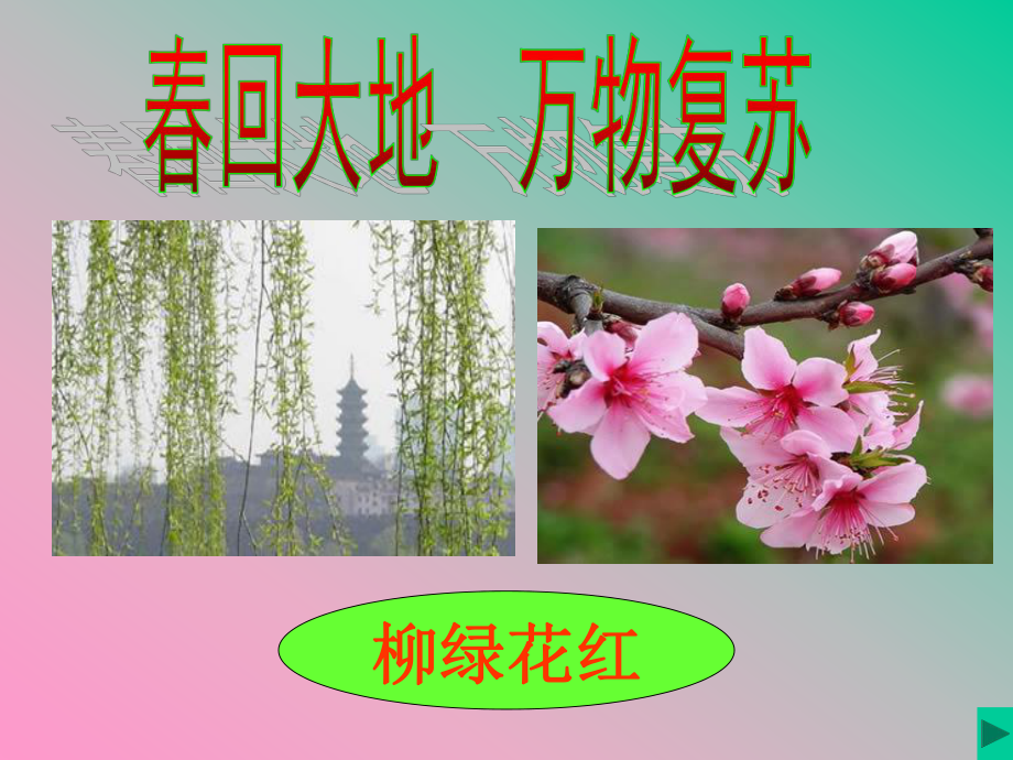 2《春雨的色彩》.ppt_第2页