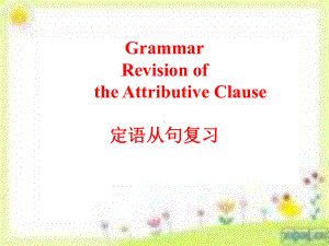 定语从句专题.ppt