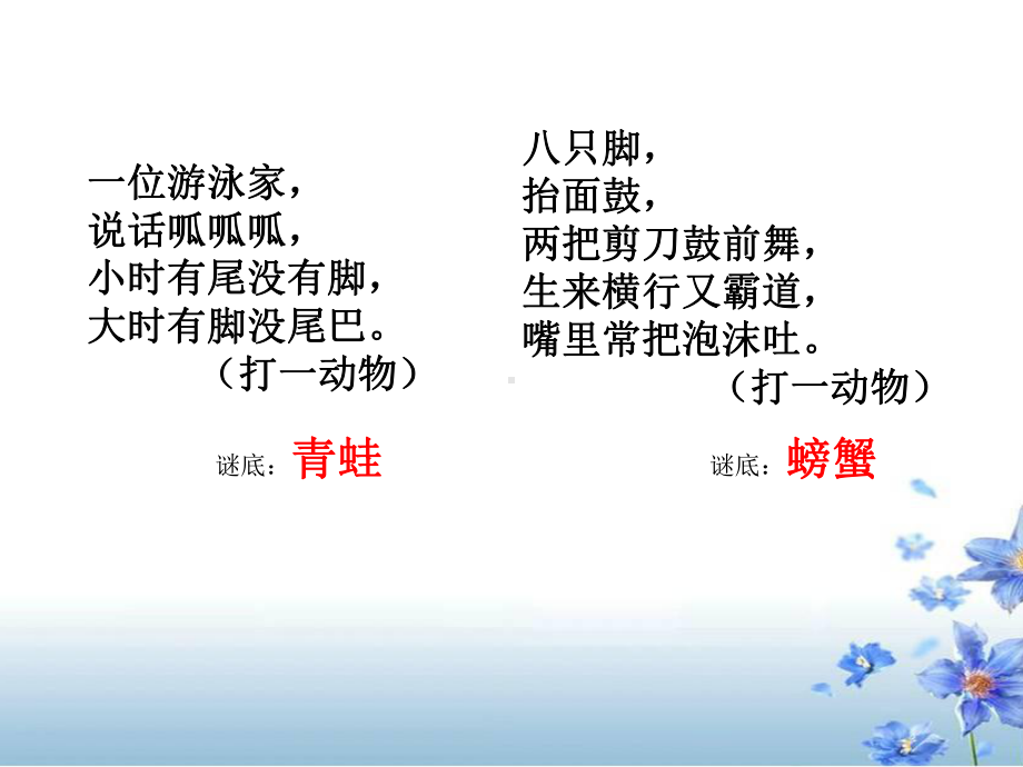 6《那只松鼠》.ppt_第2页