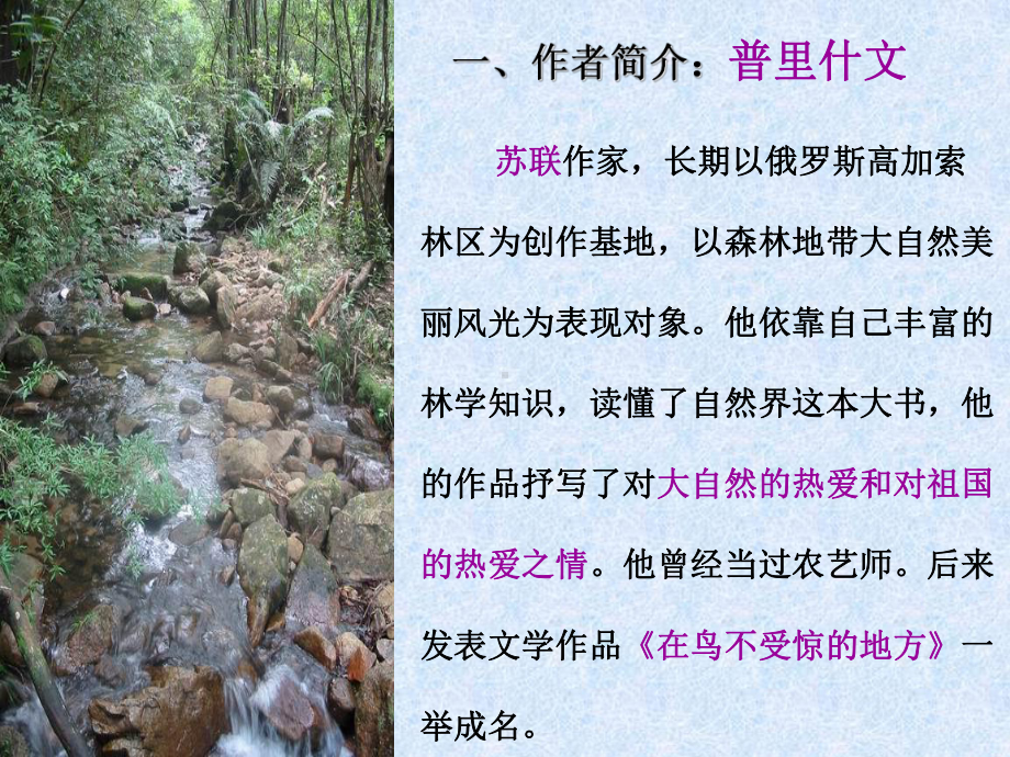 《林中小溪》.ppt_第2页