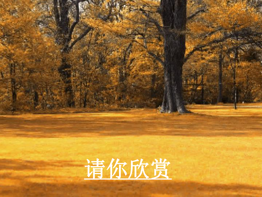 《秋天》课件.ppt_第3页