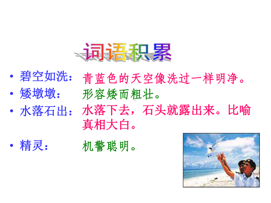 7、《彩色的翅膀》课件.ppt_第2页