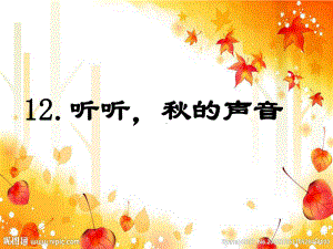 12听听秋的声音.ppt