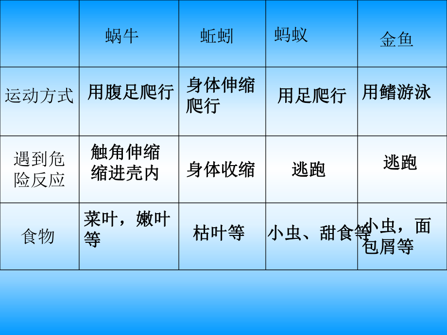 动物有哪些共同特点.ppt_第3页