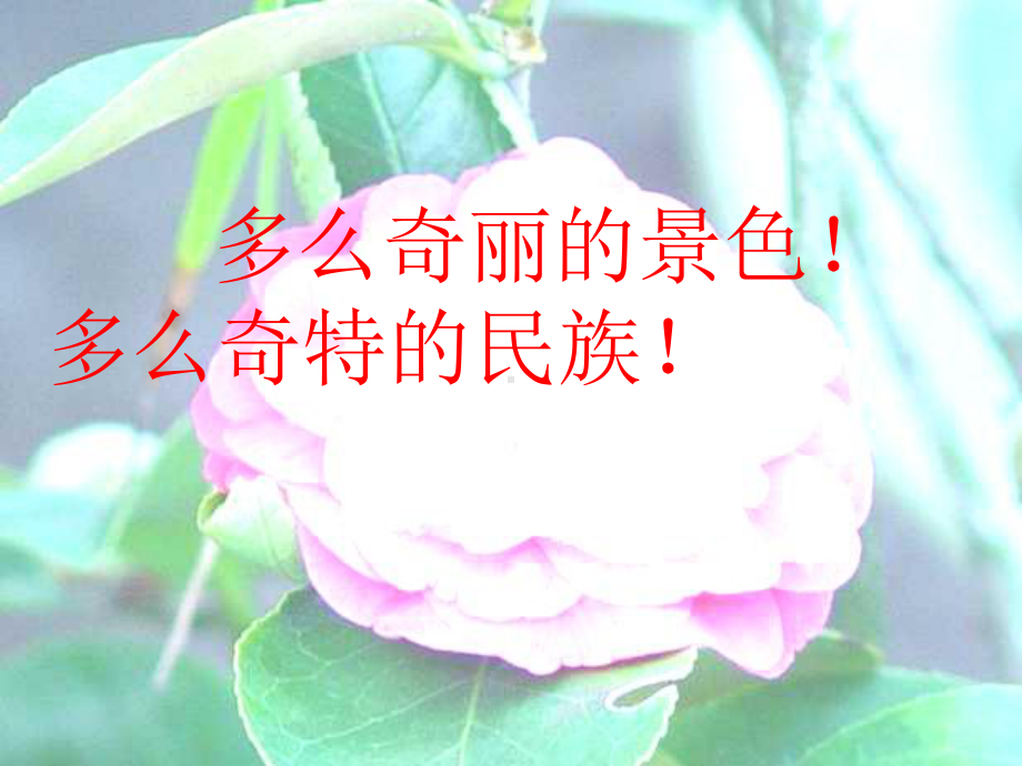 复件自己的花是让别人看的课件.ppt_第2页