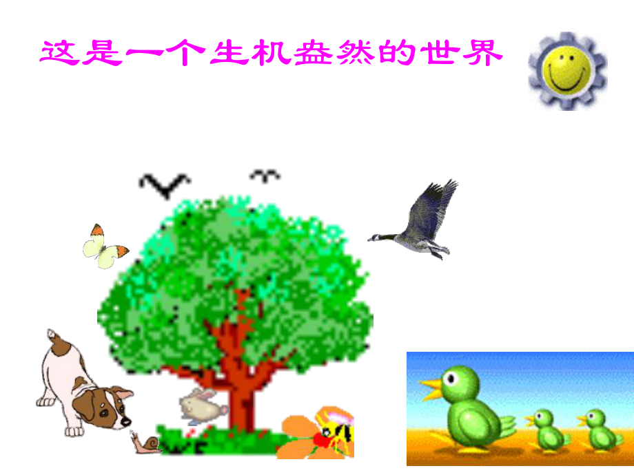 动物在自然界的作用.ppt_第2页