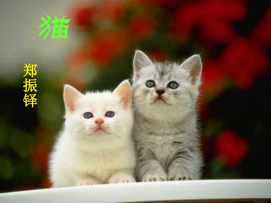 七年级下册语文《猫》课件.ppt_第2页