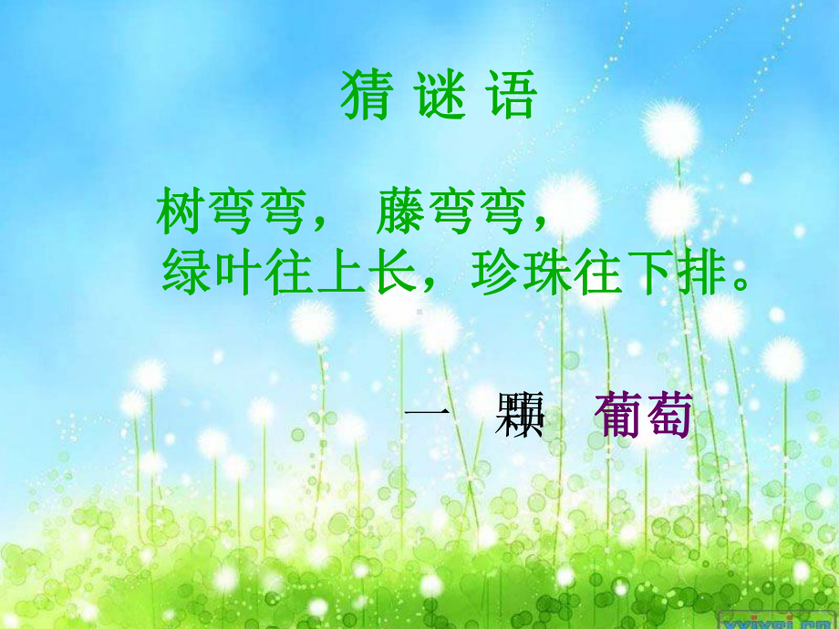 17酸的和甜的.ppt_第1页