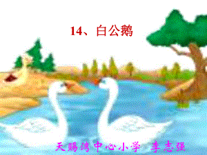 14、白公鹅PPT.ppt