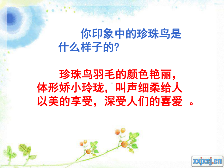 《珍珠鸟》课件.ppt_第3页