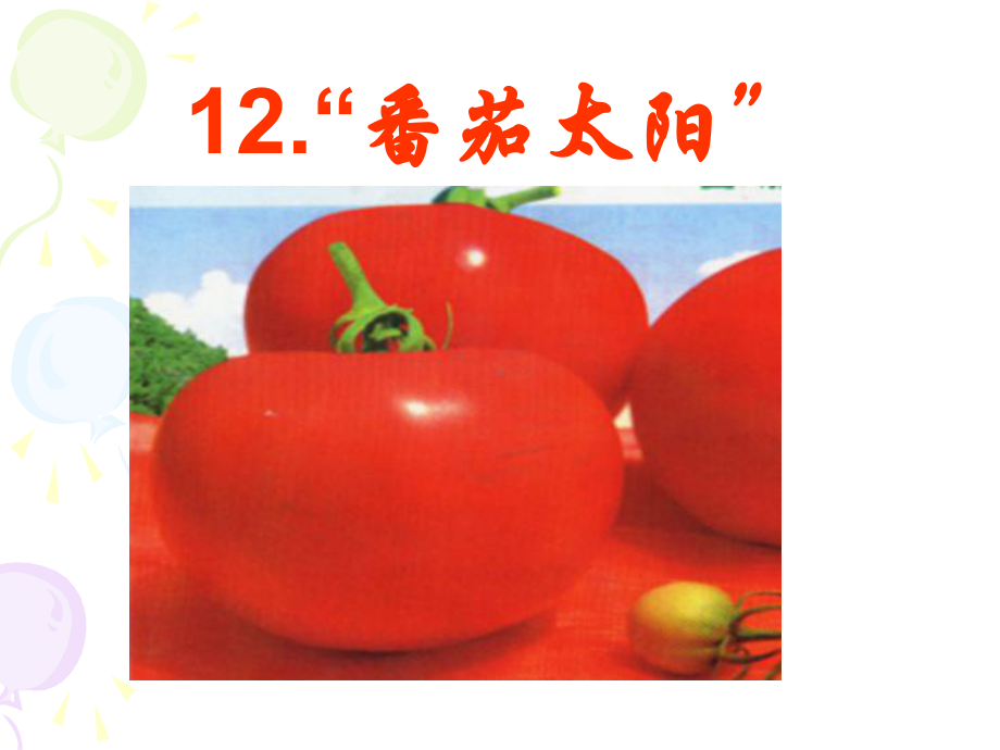 12番茄太阳第一课时课件.ppt_第1页