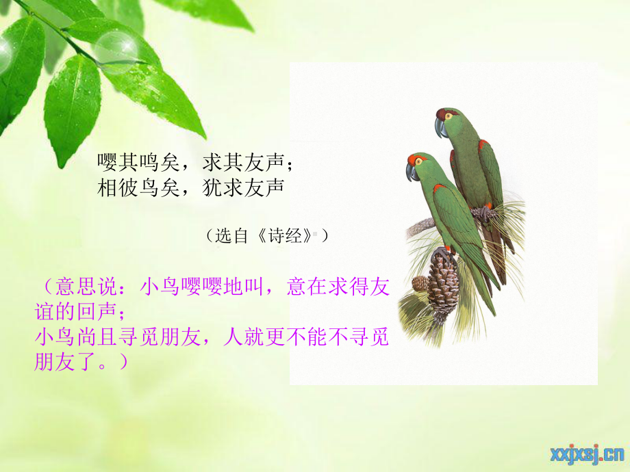 《与友同行》课件.ppt_第2页