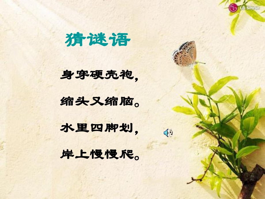 《想飞的乌龟》.ppt_第2页