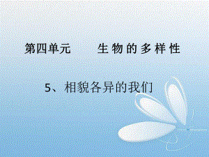 第五节--相貌各异的我们.ppt