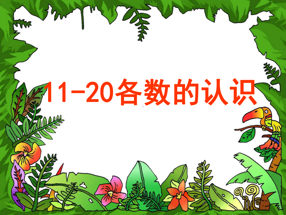 11-20各数的认识.ppt_第1页