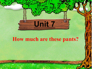 How-much-are-these-pants-section-B-课件.ppt