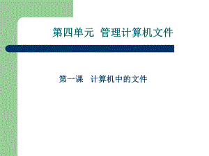 计算机中的文件.ppt