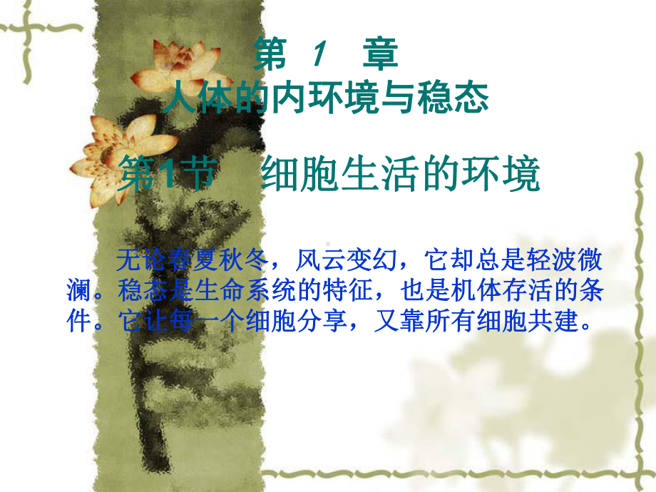 11细胞生活的环境.ppt_第2页