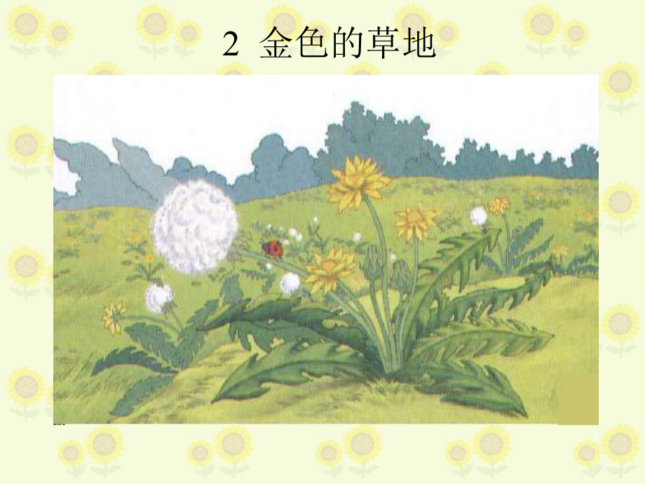 2、金色的草地.ppt_第3页