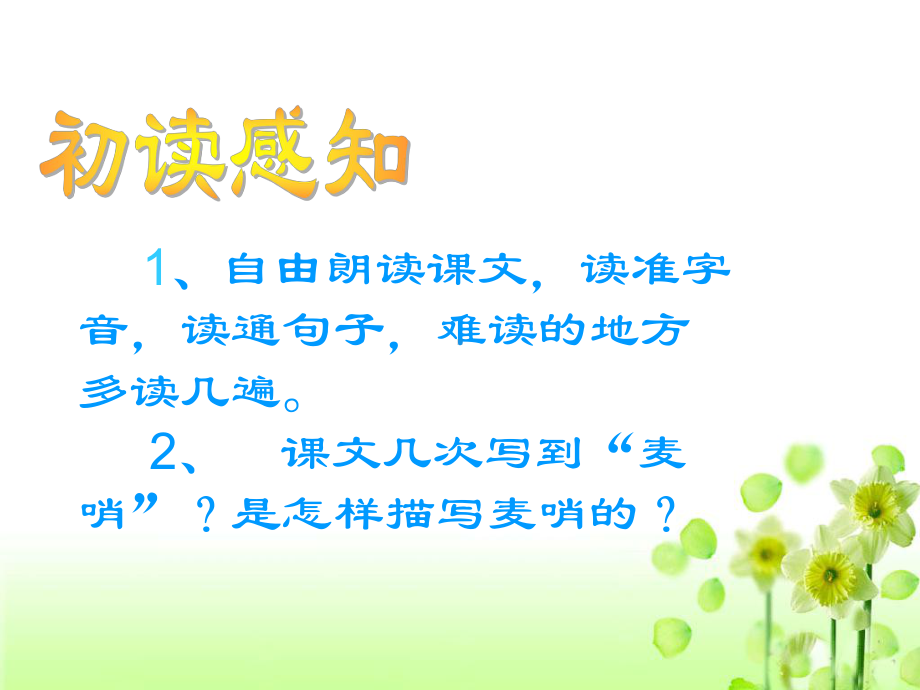 《麦哨》教学课件.ppt_第2页