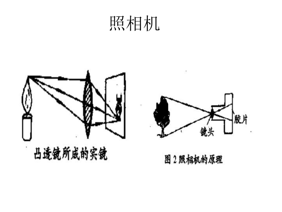 初中物理课件：生活中的透镜.ppt_第2页