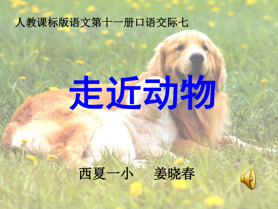 复件动物世界.ppt_第1页