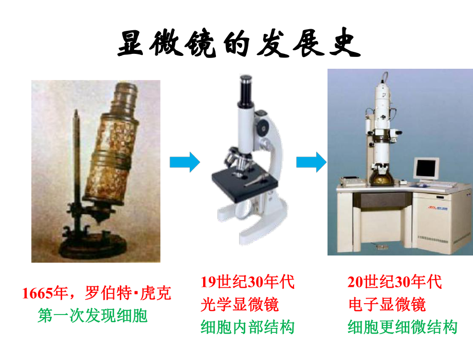 二单元1练习使用显微镜.ppt_第3页