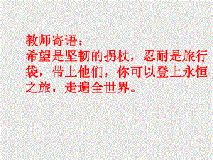 52求解一元一次方程(公开课).ppt