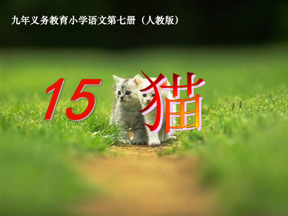 四年级上册《猫》课件.ppt_第1页