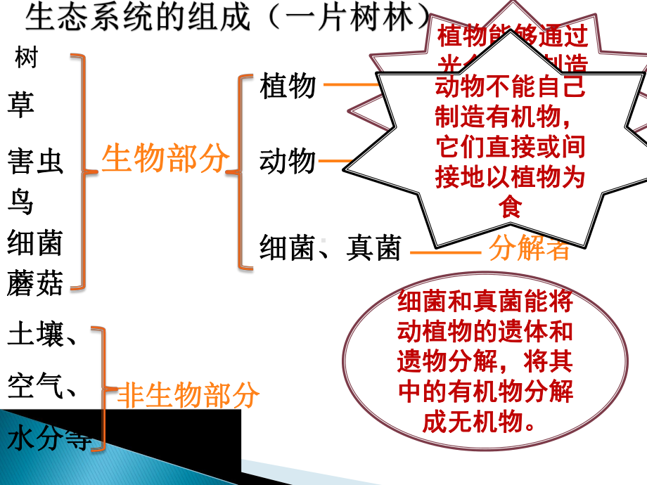 生态系统的组成.ppt_第3页