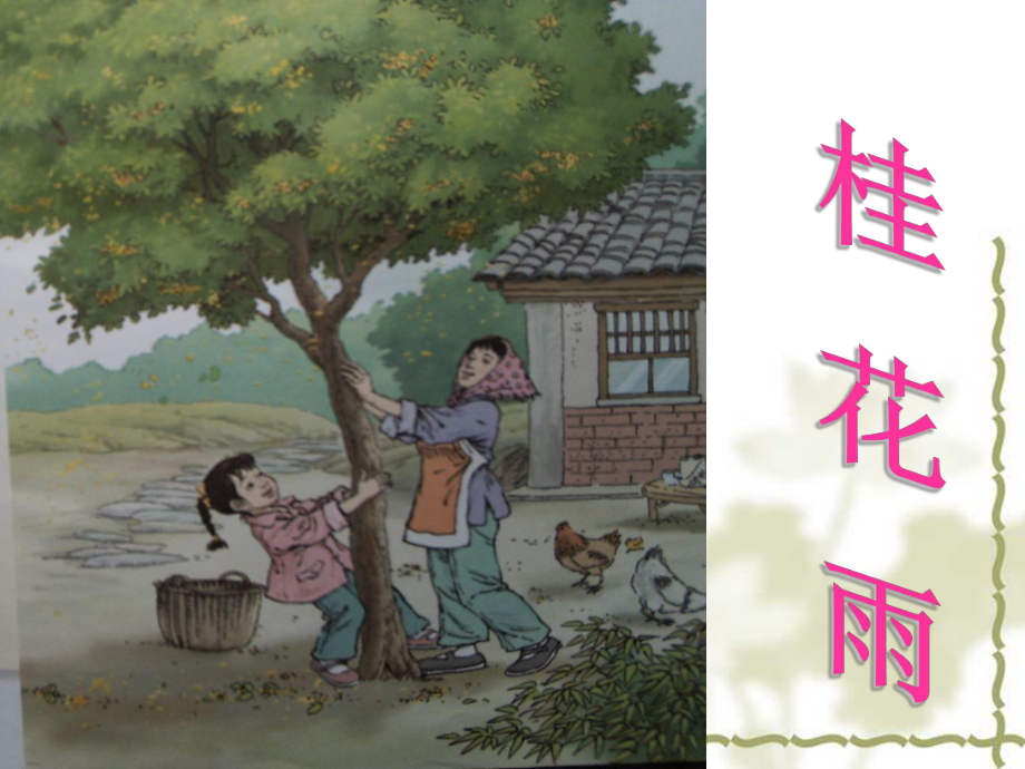 《桂花雨》课件.ppt_第2页