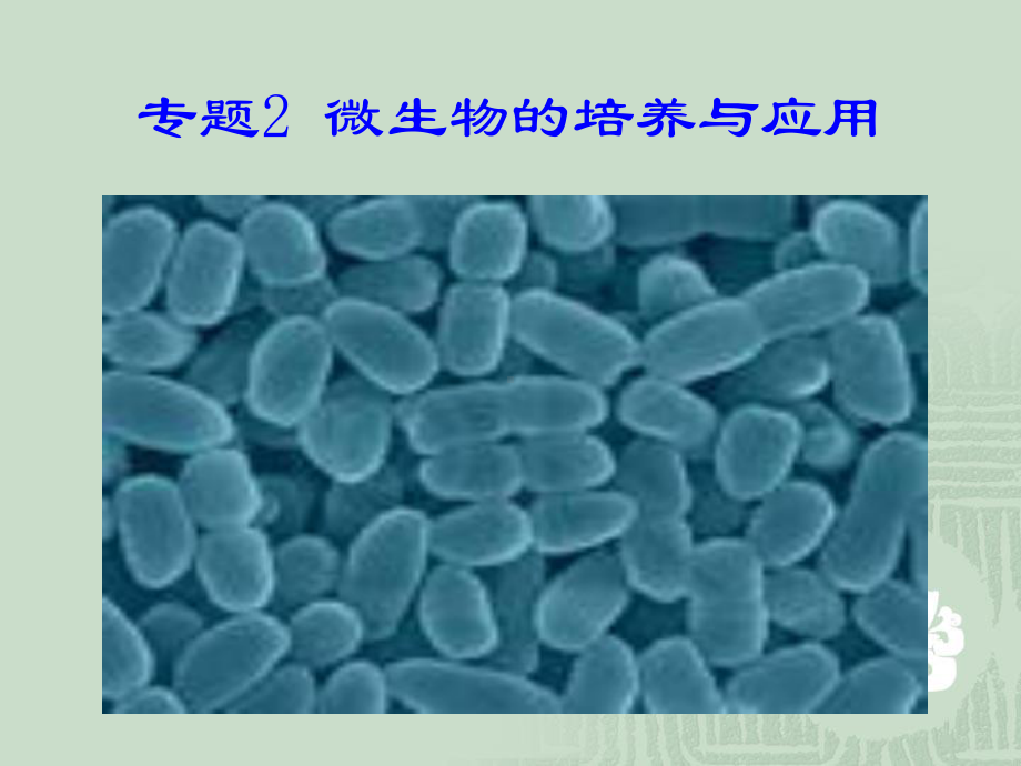 （生物）22土壤中分解尿素的细菌的分离与计数课件（人教版选修1）.ppt_第2页