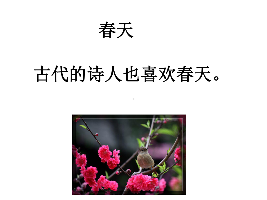 1一下语文《4古诗两首》春晓.ppt_第1页