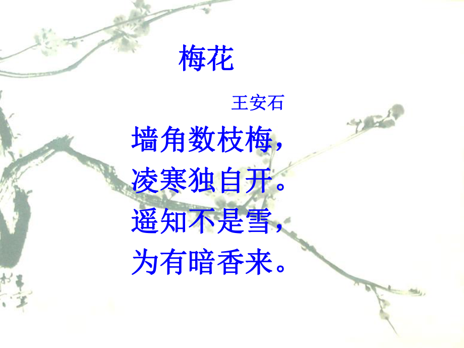 《梅花魂》课件.ppt_第2页