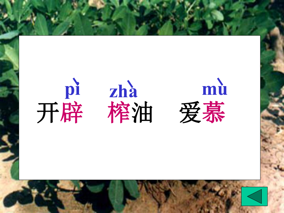 《落花生》课件（13页）.ppt_第3页