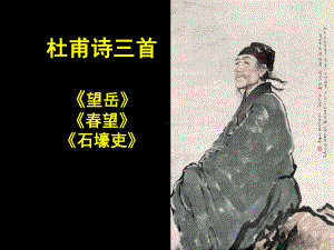 杜甫诗三首.ppt