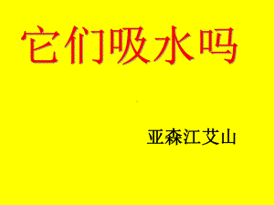 （教科版）三年级科学上册课件它们吸水吗3.ppt