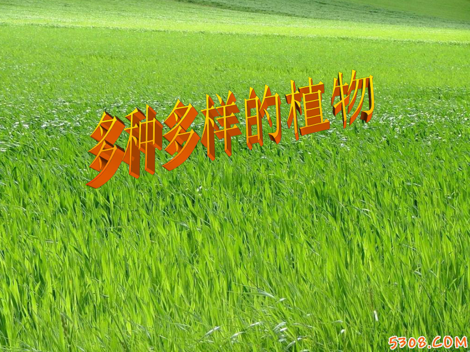 多种多样的植物(2).ppt_第1页