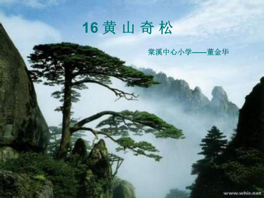 黄山奇松 (2).ppt_第1页