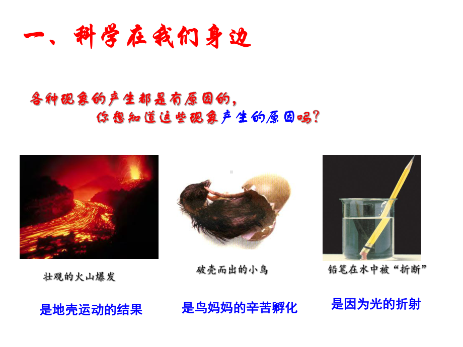 11科学并不神秘(新课标.ppt_第2页