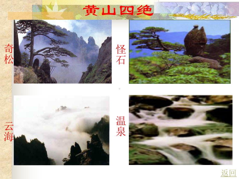 黄山奇松.ppt_第3页