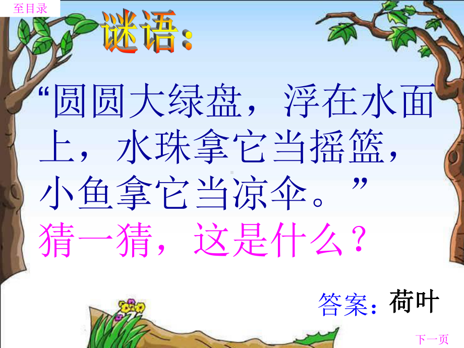 荷叶圆圆 (2).ppt_第2页