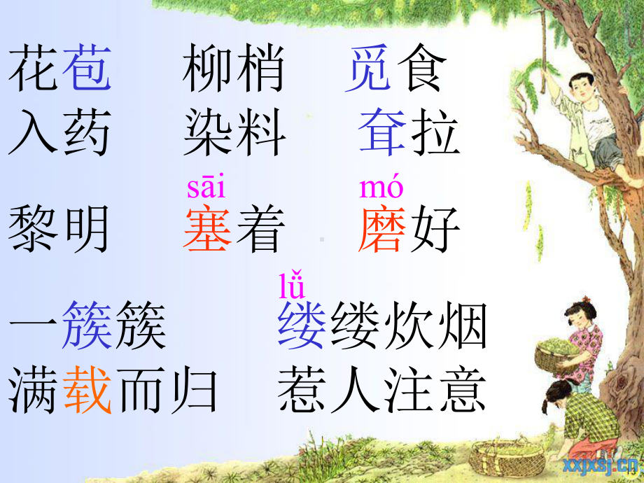 槐乡的孩子 (3).ppt_第2页