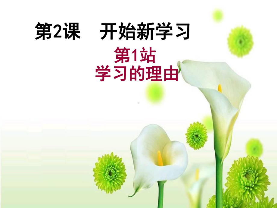 开始新学习.ppt_第2页