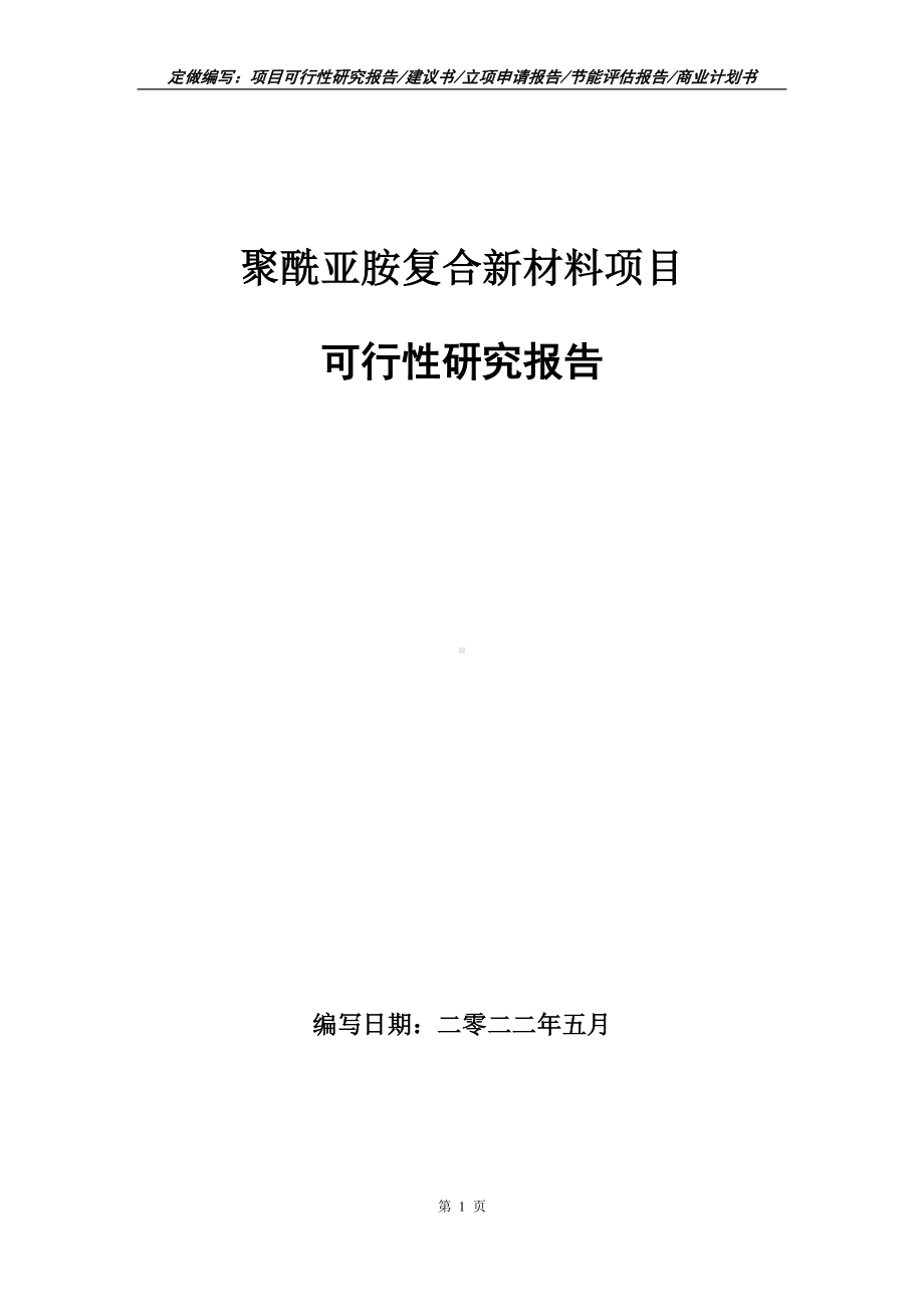 聚酰亚胺复合新材料项目可行性报告（写作模板）.doc_第1页