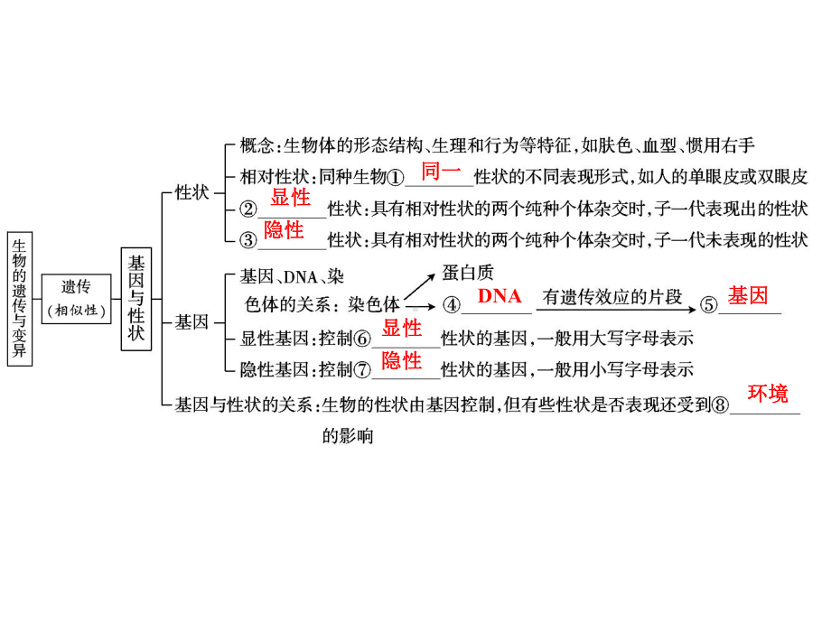 中考生物学专题知识整合·专题七生物的遗传、变异与进化.ppt_第2页