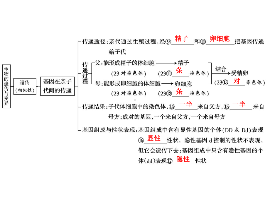 中考生物学专题知识整合·专题七生物的遗传、变异与进化.ppt_第3页